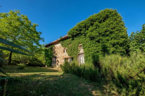 Stella Nord Podere Carbone